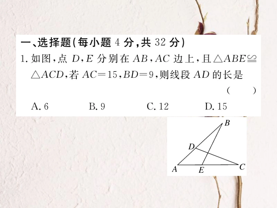 八年级数学上册 综合滚动练习 全等三角形的性质与判定课件 （新版）新人教版[共19页]_第2页