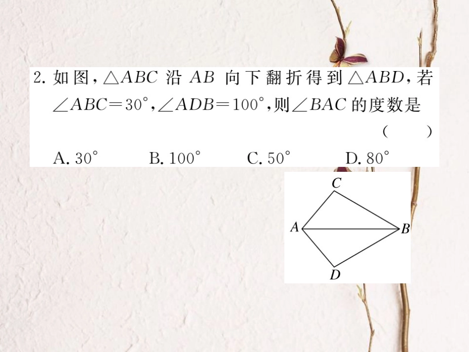 八年级数学上册 综合滚动练习 全等三角形的性质与判定课件 （新版）新人教版[共19页]_第3页