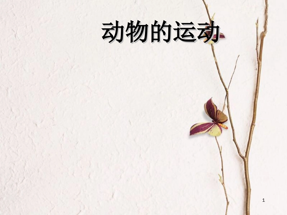 六年级科学上册 动物的运动课件1 青岛版[共30页]_第1页