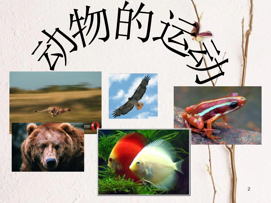 六年级科学上册 动物的运动课件1 青岛版[共30页]_第2页