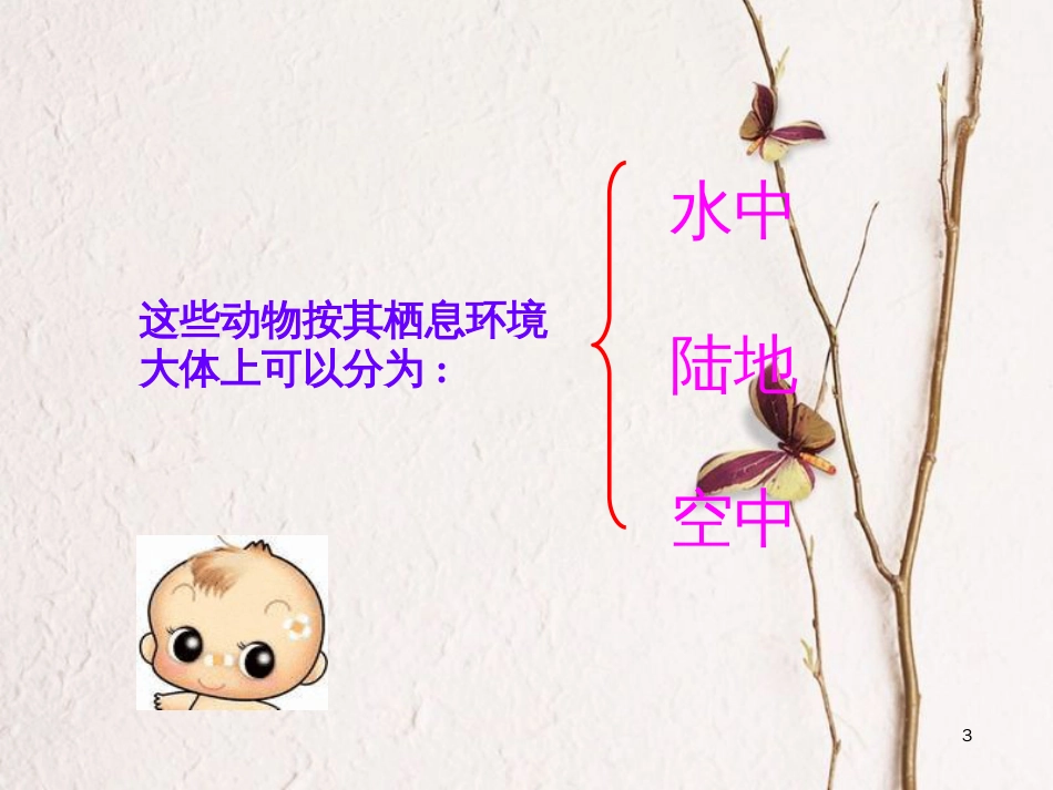 六年级科学上册 动物的运动课件1 青岛版[共30页]_第3页