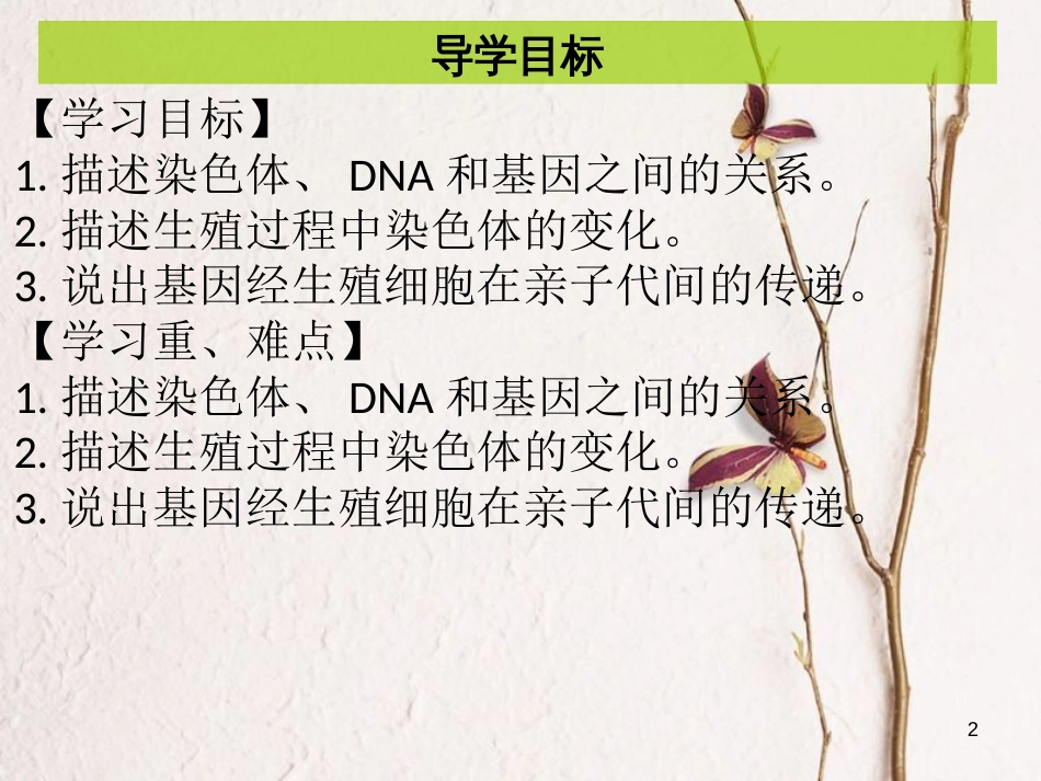 八年级生物下册 7.2.2基因在亲子代间的传递课件（新版）新人教版_第2页