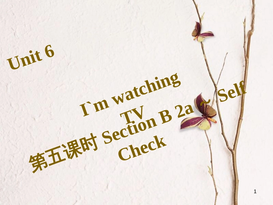 七年级英语下册 Unit 6 I’m watching TV（第5课时）Section B（2a-Self Check）习题课件 （新版）人教新目标版_第1页