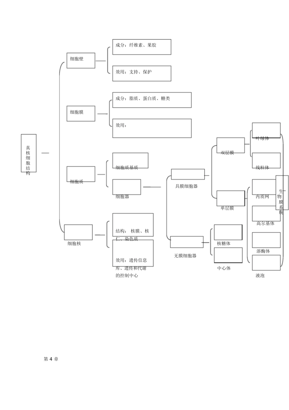 高一生物思维导图[共8页]_第3页