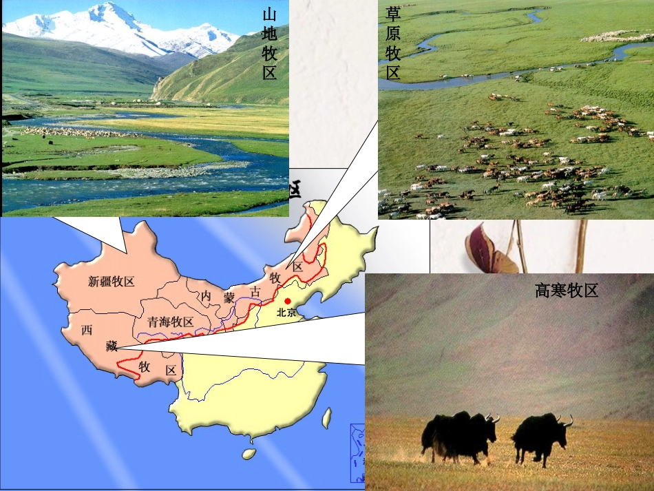 辽宁省抚顺市第一中学学年高一地理 世界地理 14青藏地区课件2_第3页