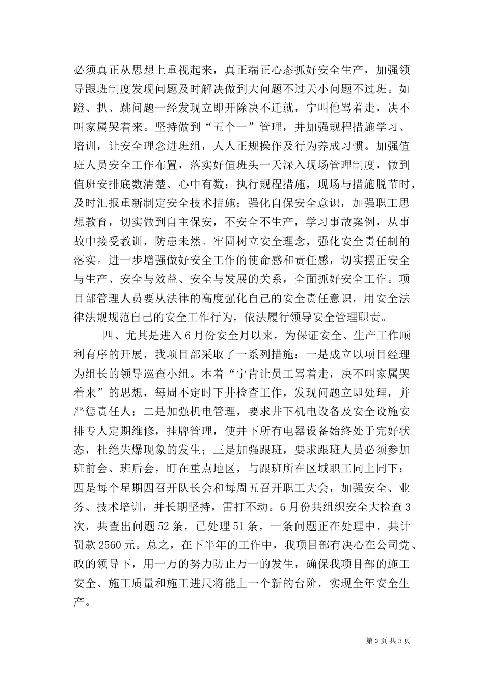 安全工作半年总结（六）_第2页