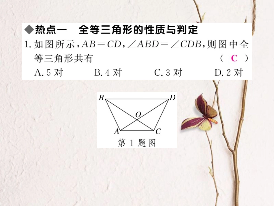 八年级数学上册 13 全等三角形本章热点专练课件 （新版）冀教版[共22页]_第2页