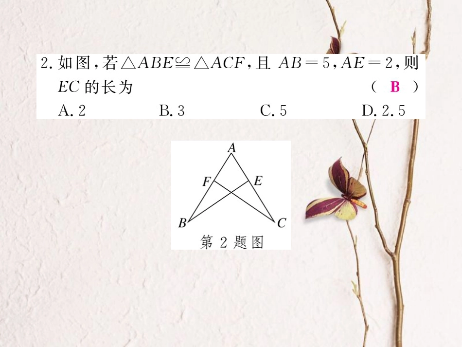 八年级数学上册 13 全等三角形本章热点专练课件 （新版）冀教版[共22页]_第3页