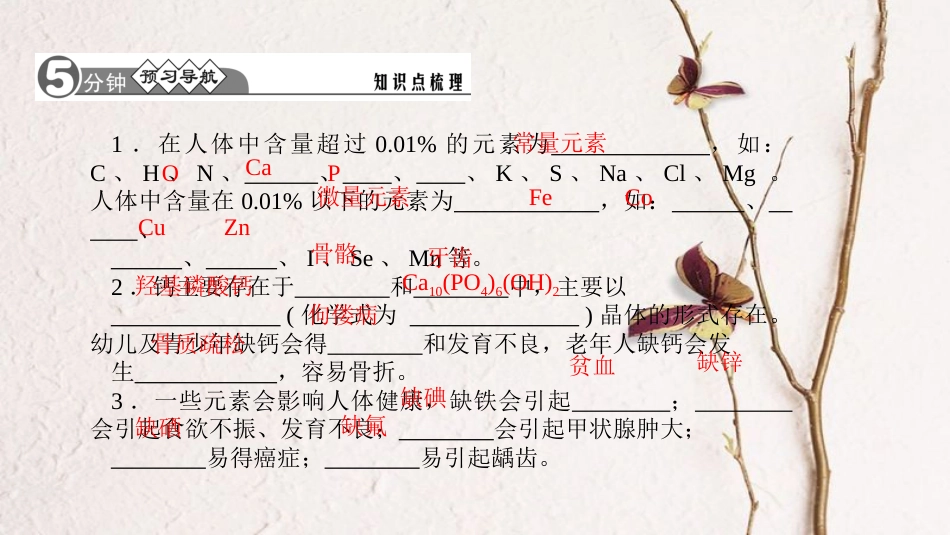 贵州省秋九年级化学下册 12 化学与生活 课题2 化学元素与人体健康课件 （新版）新人教版_第2页