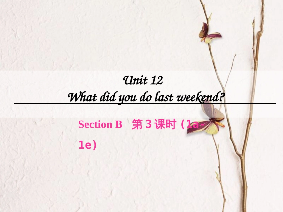 七年级英语下册 Unit 12 What did you do last weekend（第3课时）Section B（1a-1e）课件 （新版）人教新目标版_第1页