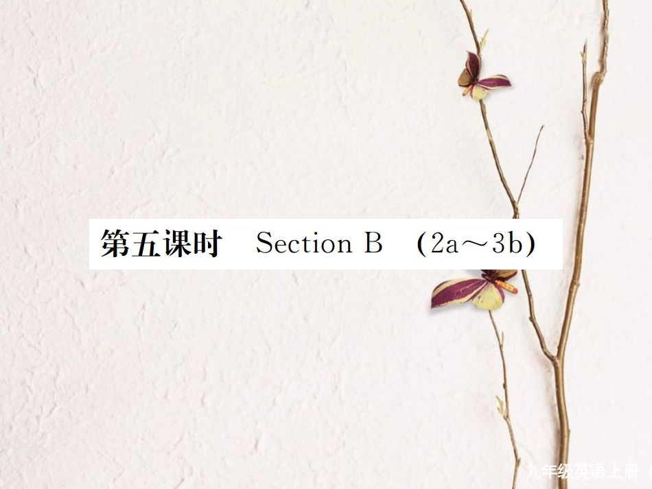 （河北专）九年级英语全册 Unit 6 When was it invented（第5课时）习题课件 （新）人教新目标版_第1页