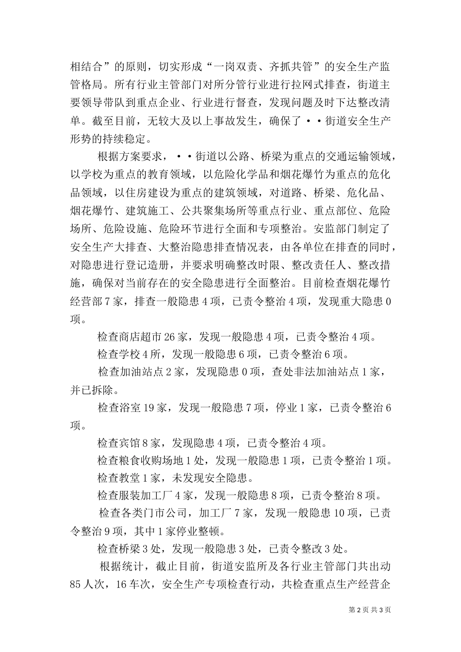 安全生产大排查大整治专项行动工作总结_第2页