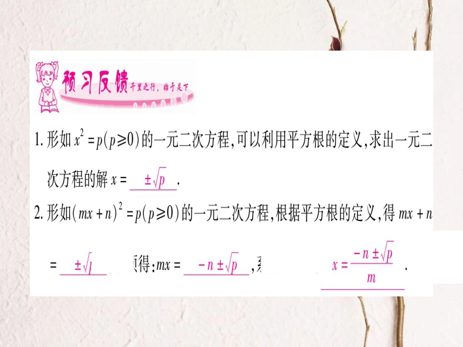 九年级数学上册 2.2 一元二次方程的解法习题课件 （新版）湘教版_第2页