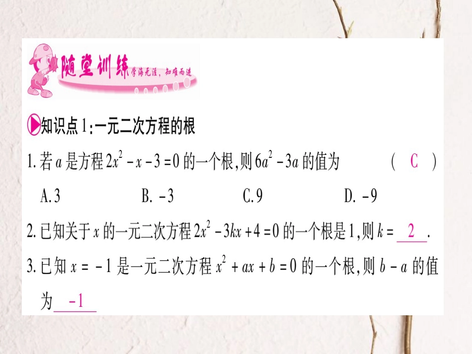 九年级数学上册 2.2 一元二次方程的解法习题课件 （新版）湘教版_第3页