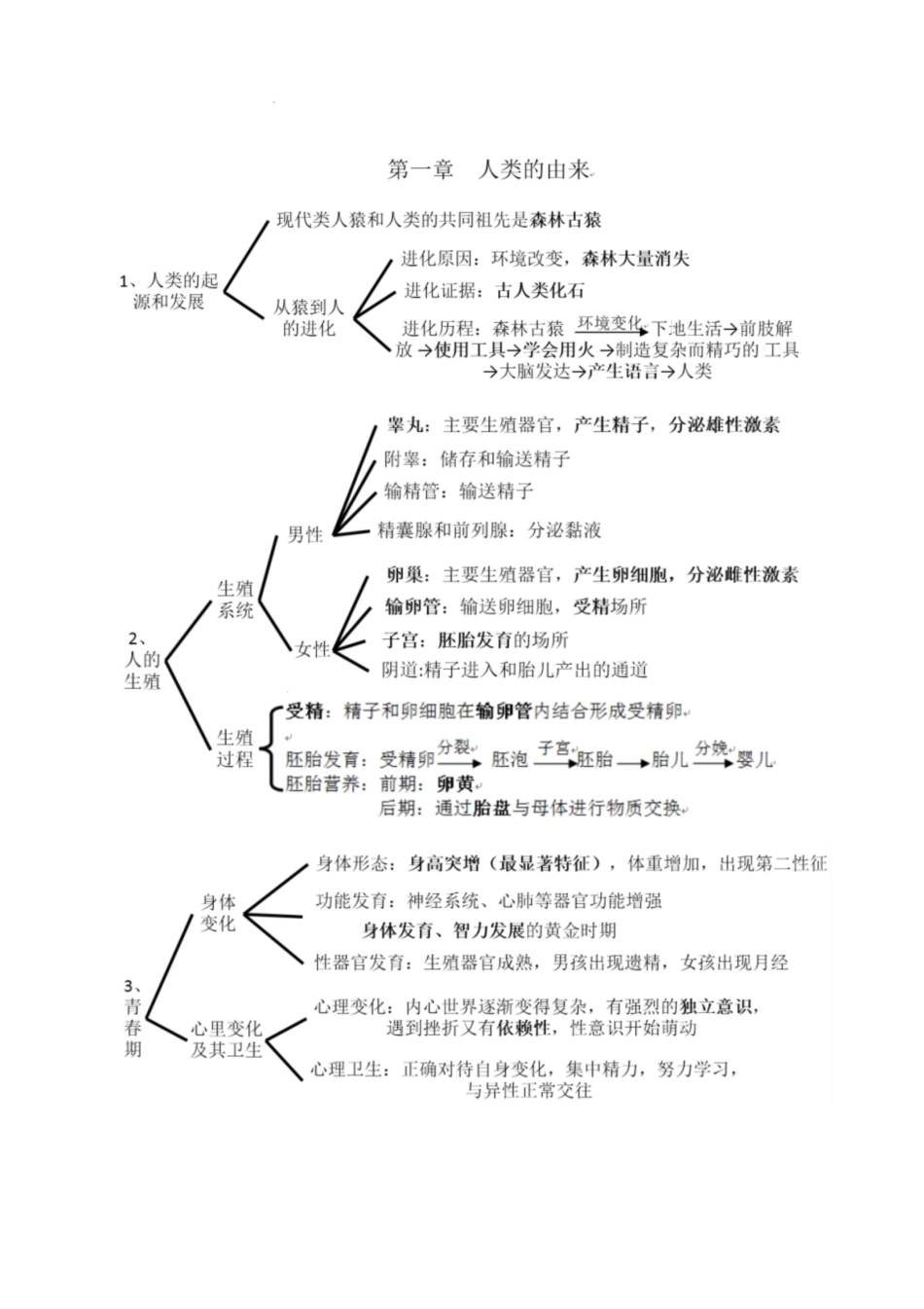 人教版七年级生物下册考点(思维导图版)[共8页]_第1页