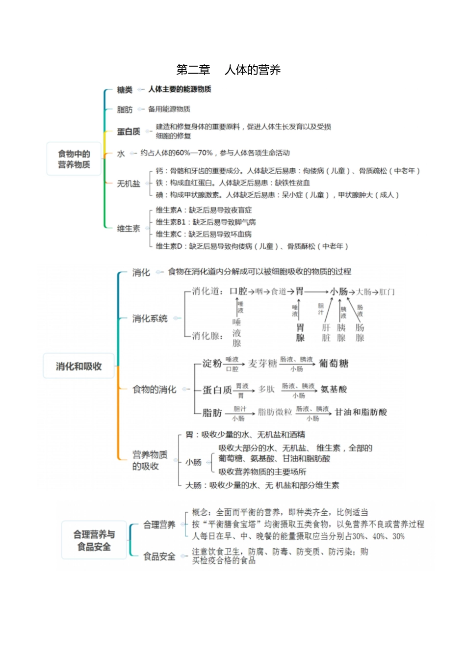 人教版七年级生物下册考点(思维导图版)[共8页]_第2页