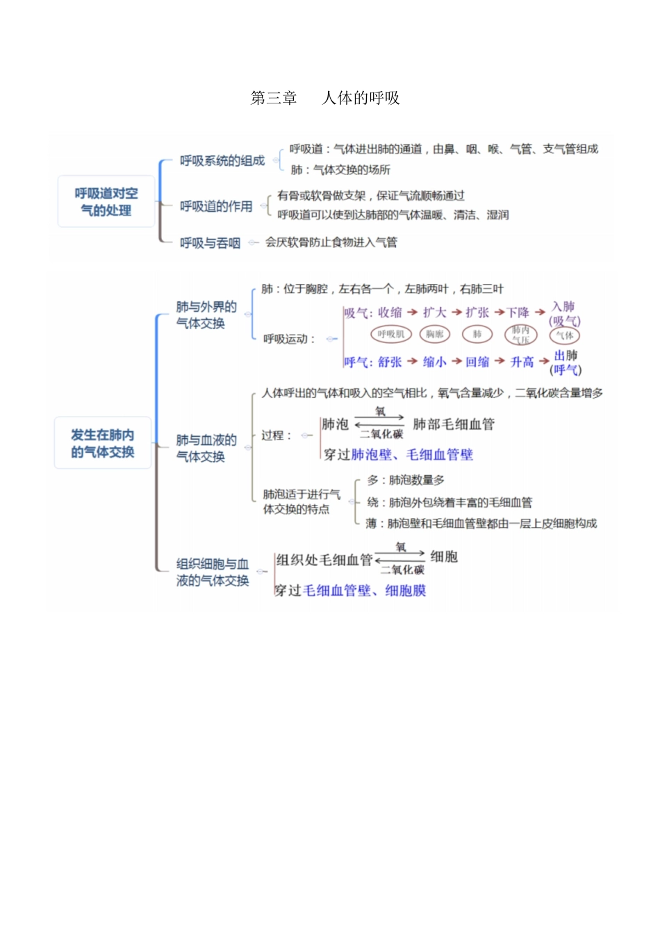人教版七年级生物下册考点(思维导图版)[共8页]_第3页