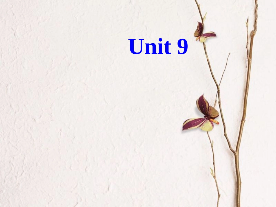 （水滴系列）七年级英语下册 Unit 9 What does he look like（第5课时）Section B（2a-2c）课件 （新）人教新目标_第1页