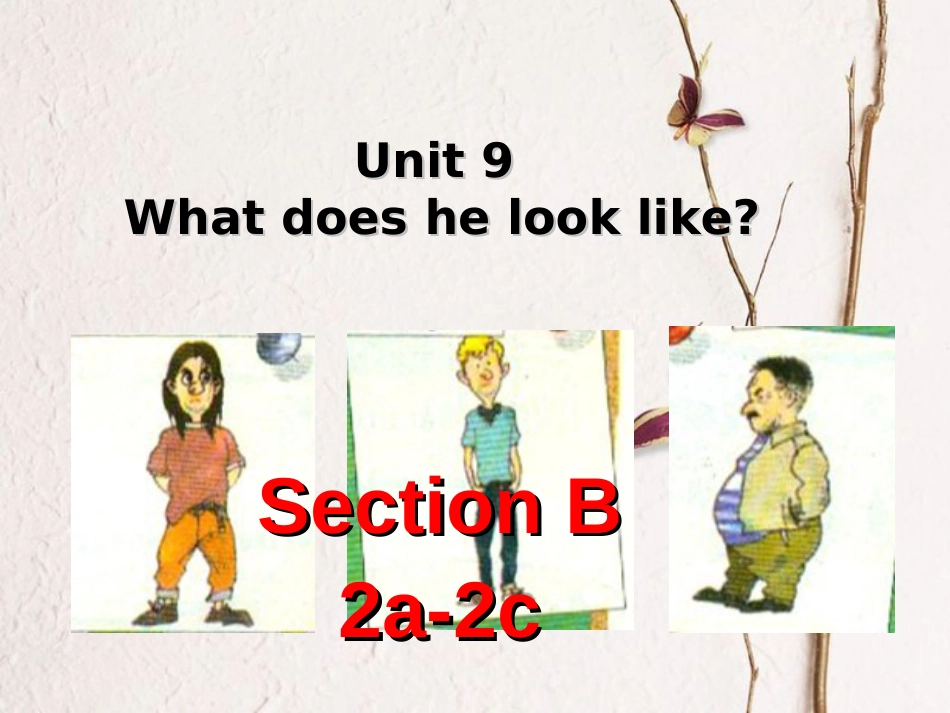 （水滴系列）七年级英语下册 Unit 9 What does he look like（第5课时）Section B（2a-2c）课件 （新）人教新目标_第2页
