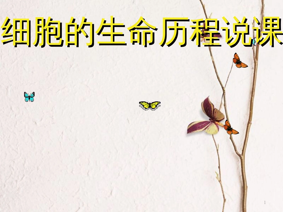 湖北省黄冈市年高中生物二轮复习《细胞的生命历程》说课比赛课件1_第1页