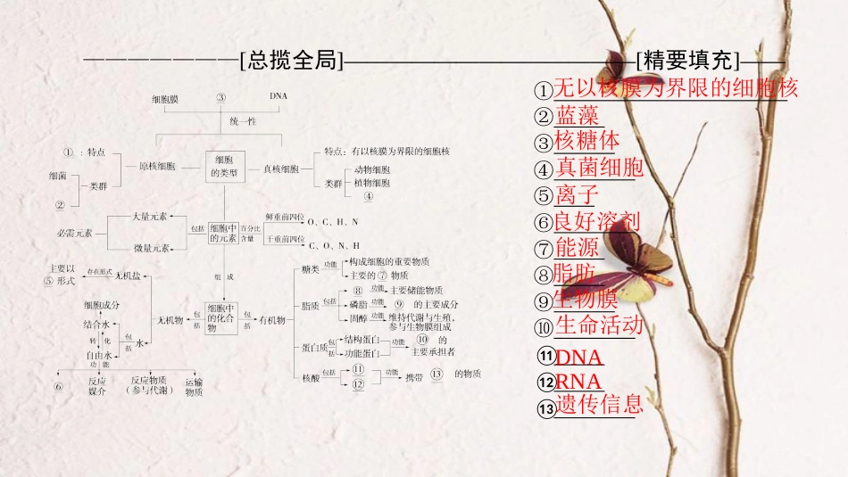 高三生物一轮复习 第1单元 单元高效整合课件 新人教版必修1_第2页