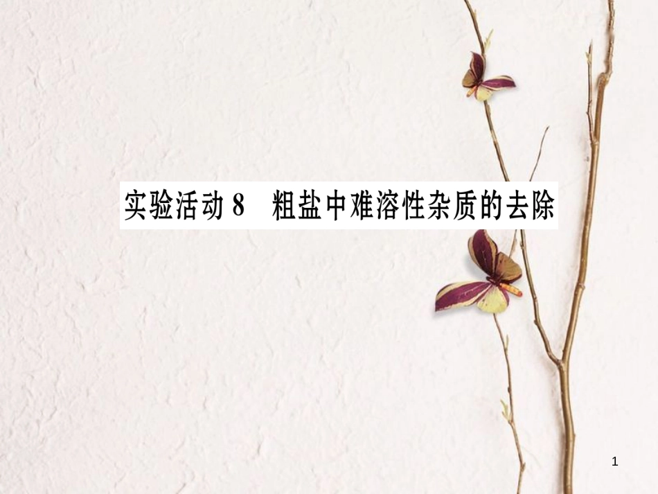 九年级化学下册 第11单元 盐 化肥 实验活动8 粗盐中难溶性杂质的去除习题课件 （新版）新人教版[共21页]_第1页
