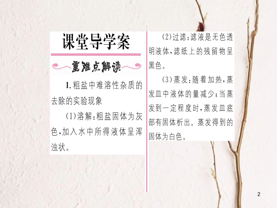 九年级化学下册 第11单元 盐 化肥 实验活动8 粗盐中难溶性杂质的去除习题课件 （新版）新人教版[共21页]_第2页