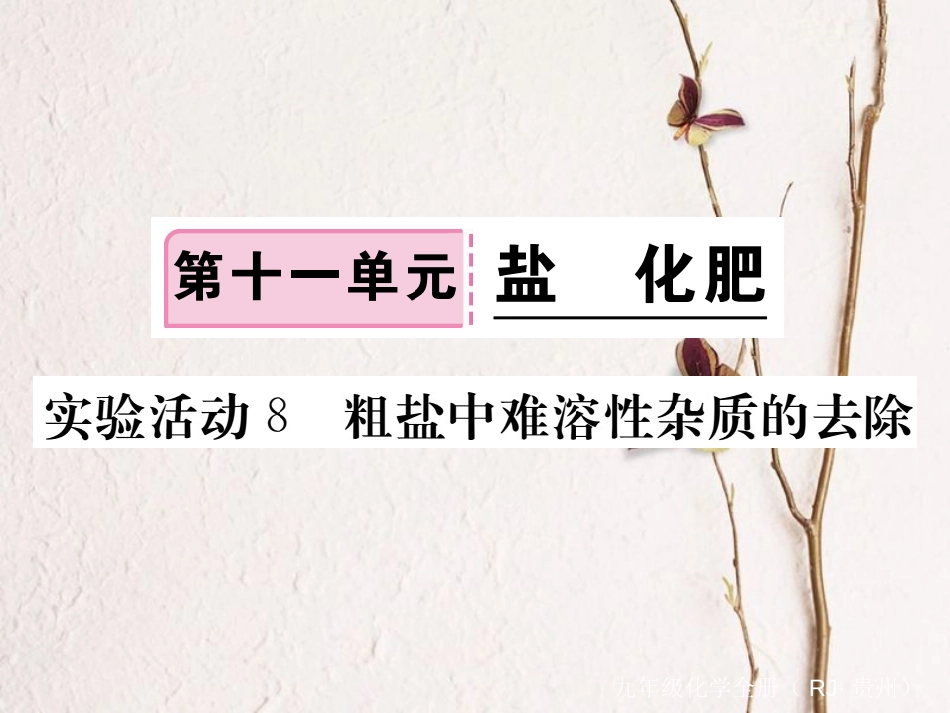 （贵州专）九年级化学下册 第十一单元 实验活动8 粗盐中难容性杂质的去除复习课件 （新）新人教版_第1页