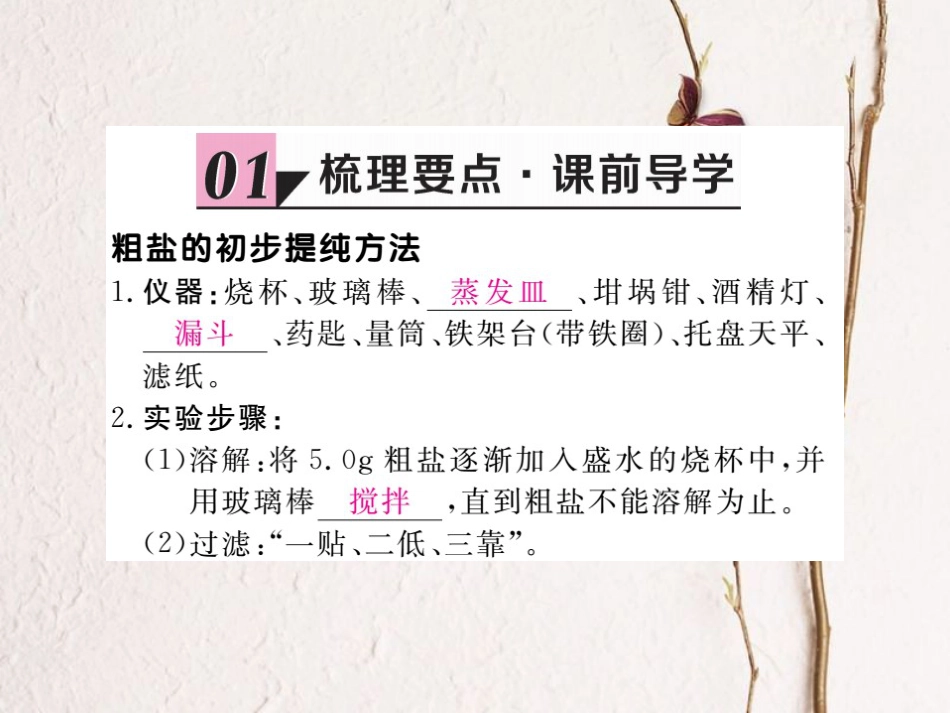 （贵州专）九年级化学下册 第十一单元 实验活动8 粗盐中难容性杂质的去除复习课件 （新）新人教版_第2页