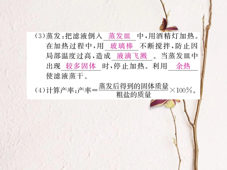 （贵州专）九年级化学下册 第十一单元 实验活动8 粗盐中难容性杂质的去除复习课件 （新）新人教版_第3页