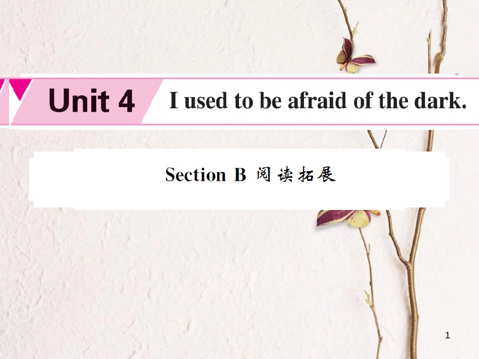 agkAAA九年级英语全册 Unit 4 I used to be afraid of the dark Section B阅读拓展课件 （新版）人教新目标版_第1页