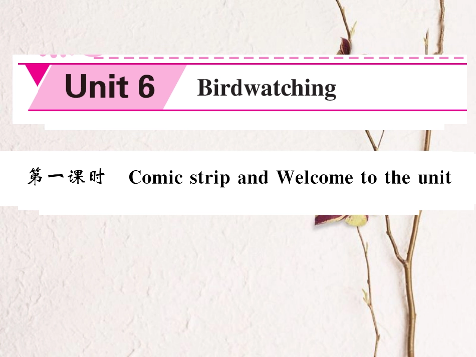 八年级英语上册 Unit 6 Bird watching（第1课时）课件 （新版）牛津版[共4页]_第1页