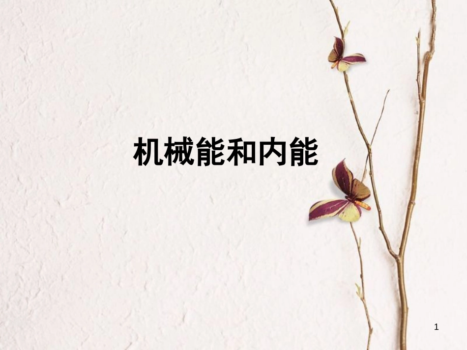江苏省丹徒区中考物理复习 机械能和内能课件_第1页