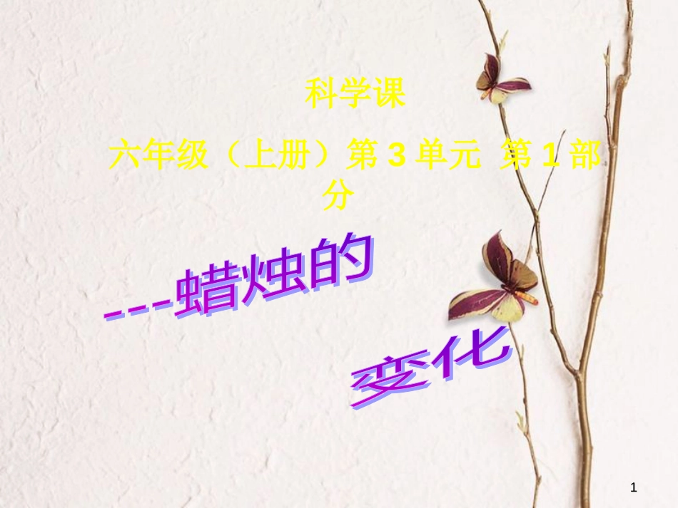 六年级科学上册 蜡烛的变化课件7 青岛版[共21页]_第1页