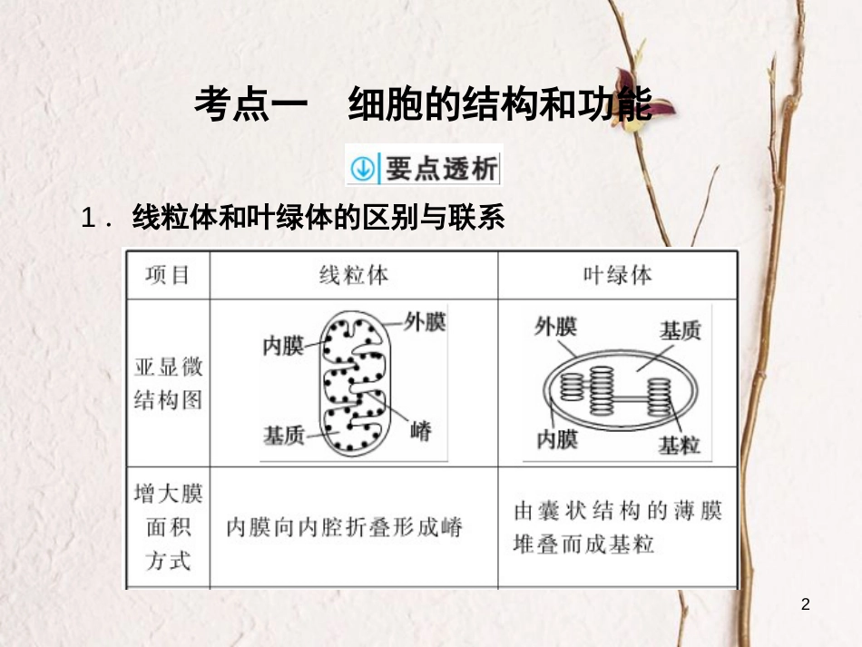 高考生物一轮复习 第2单元 细胞的基本结构和物质运输功能 第6讲 细胞器与生物膜系统课件_第2页