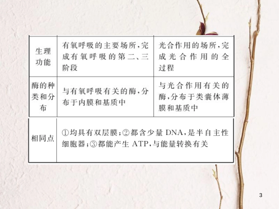 高考生物一轮复习 第2单元 细胞的基本结构和物质运输功能 第6讲 细胞器与生物膜系统课件_第3页