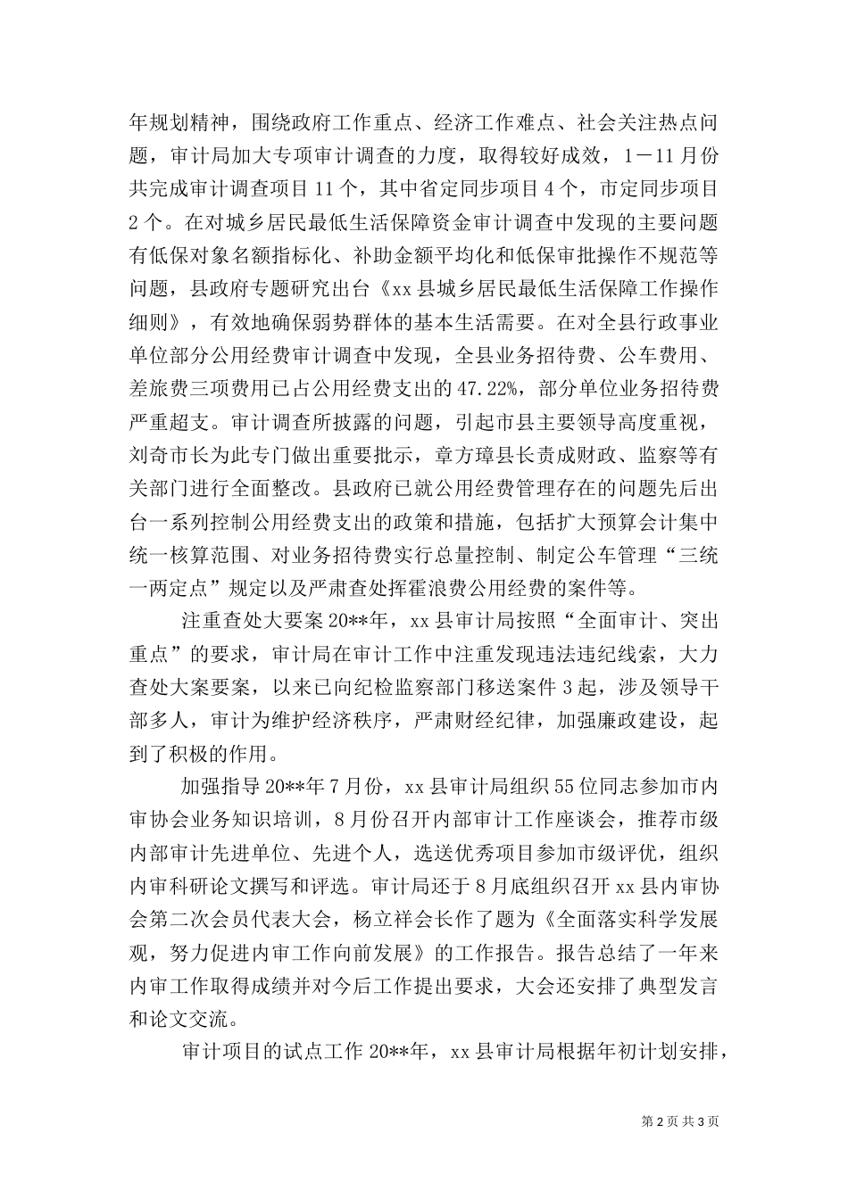 审计局终工作总结_第2页