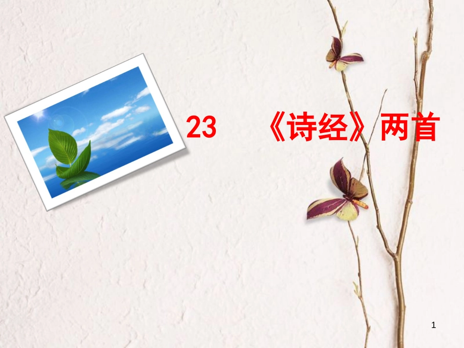 九年级语文下册 24《诗经》两首课件 新人教版[共19页]_第1页