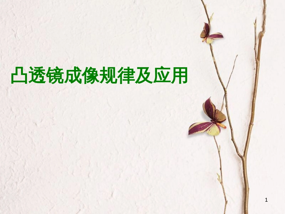 江苏省丹徒区中考物理复习 凸透镜成像的规律及应用课件_第1页