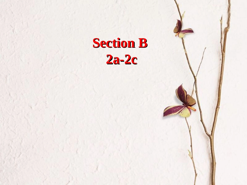 （水滴系列）七年级英语下册 Unit 10 I’d like some noodles（第5课时）Section B（2a-2c）课件 （新）人教新目标_第2页