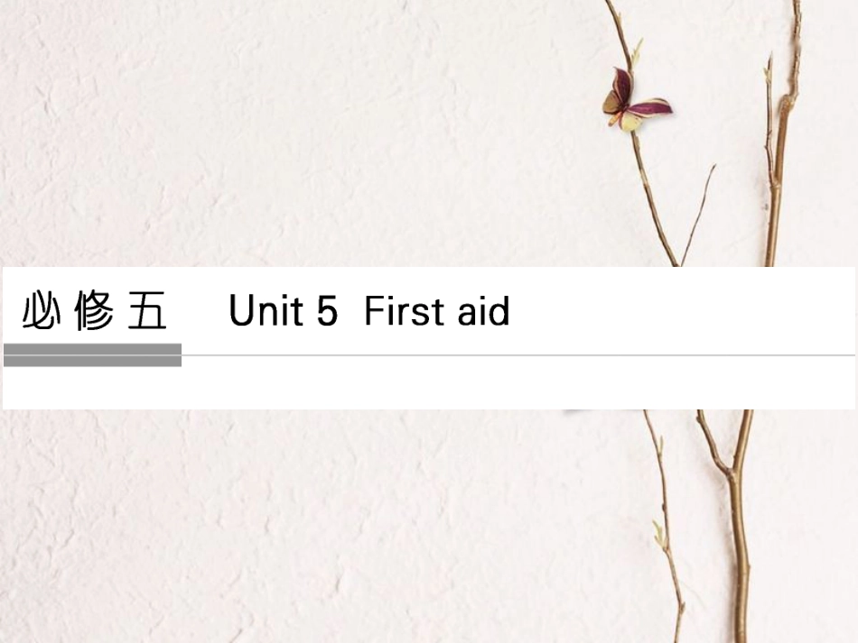 （全国）高考英语一轮复习 Unit 5 First aid课件 新人教必修5_第1页