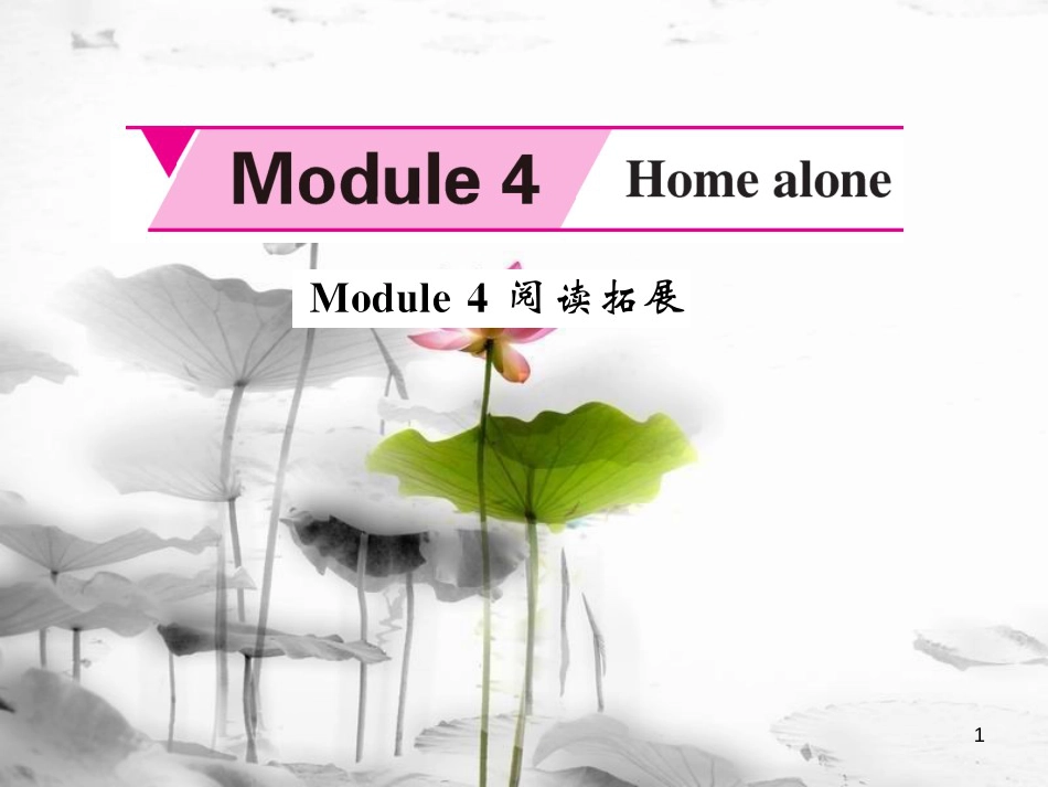 jgsAAA九年级英语上册 Module 4 Home alone阅读拓展课件 （新版）外研版_第1页