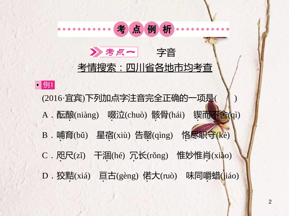 四川省中考语文 第1讲 字音与字形复习课件[共13页]_第2页