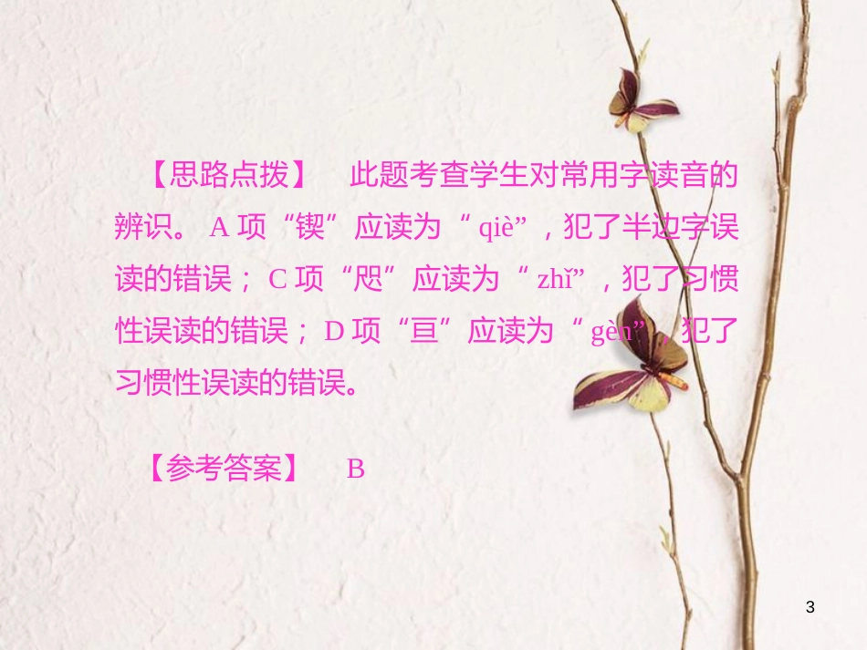 四川省中考语文 第1讲 字音与字形复习课件[共13页]_第3页