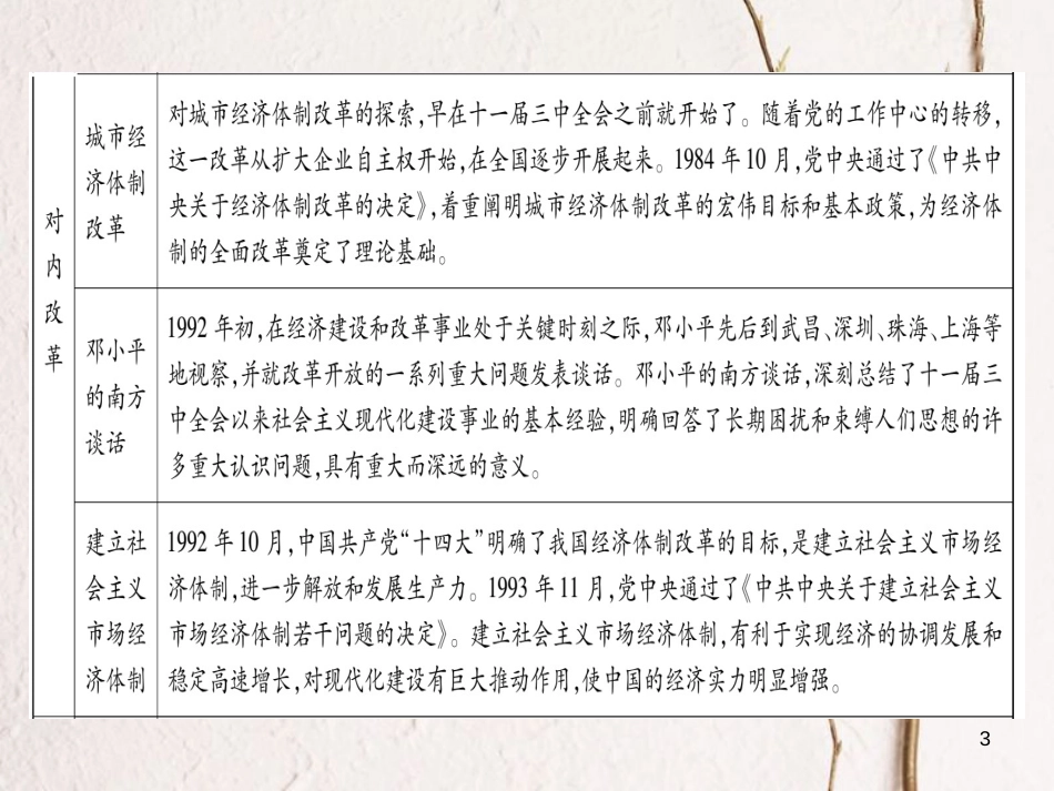 八年级历史下册 专题2 改革开放习题课件 岳麓版_第3页