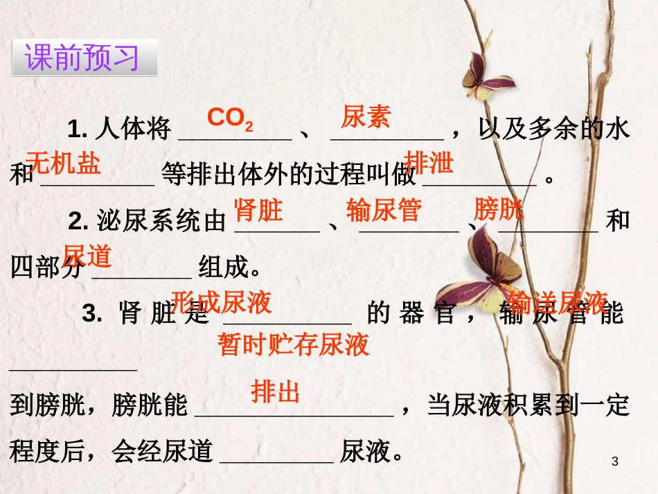 广东省七年级生物下册 第5章 人体内废物的排出导练课件 （新版）新人教版_第3页