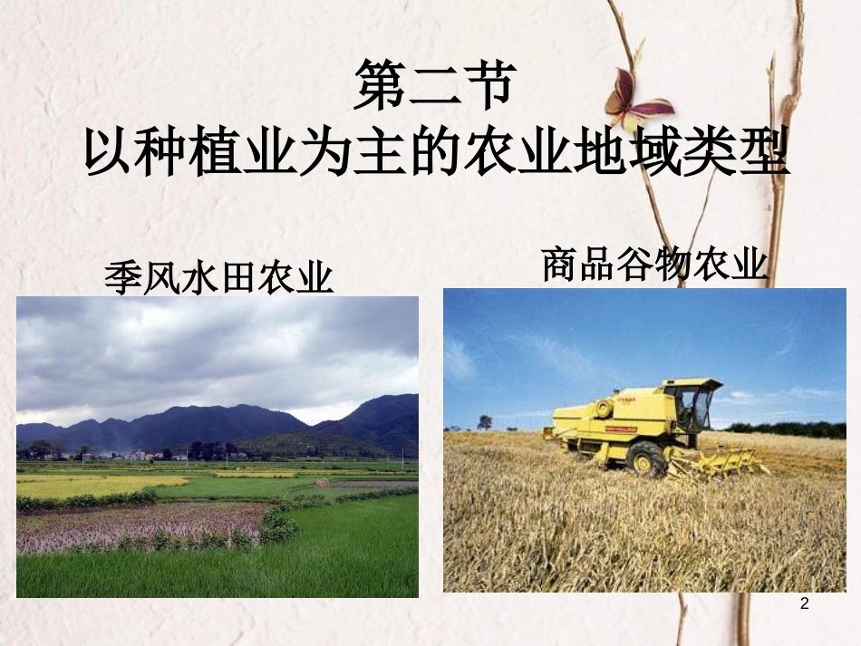 高中地理 3.2 以种植业为主的农业地域类型课件 新人教版必修2_第2页