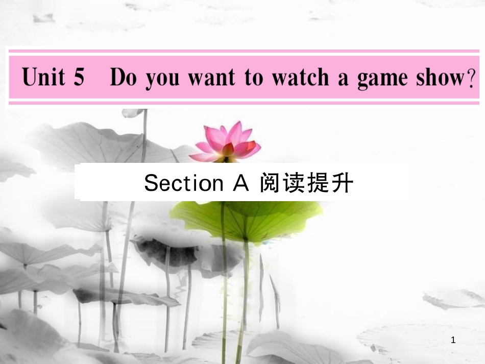 yvxAAA八年级英语上册 Unit 5 Do you want to watch a game show Section A阅读提升课件 （新版）人教新目标版_第1页