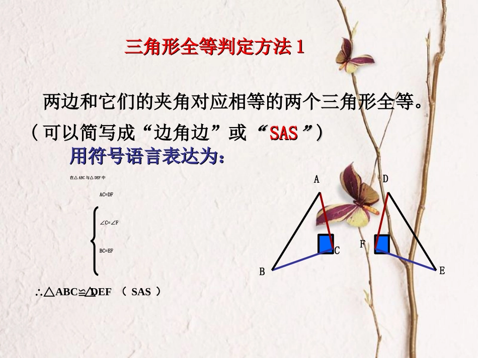 八年级数学上册 2.5 全等三角形（三）教学课件 （新版）湘教版_第3页