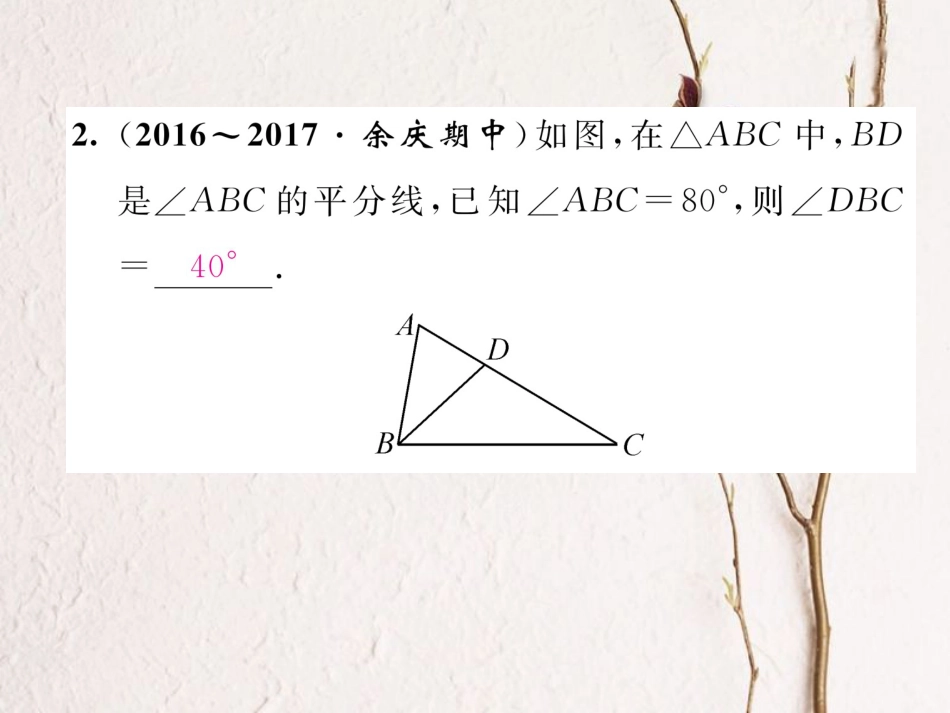 八年级数学上册 11 三角形重难点分类突破课件 （新版）新人教版[共24页]_第3页